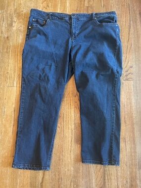 Terra & Sky Navy Straight-Leg Jeans size 20 petite, 27 inch inseam